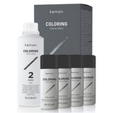 Kemon Coloring Natural Effect Grey Mousse Kit Набір для камуфляжу сивого волосся для чоловіків 4 * 25 мл + 100 мл, фото 
