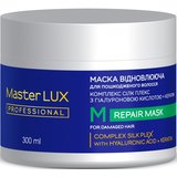 Маска для поврежденных волос Восстанавливающая Master Lux Professional Repair Mask