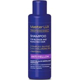 Шампунь для нейтрализации желтизны Master Lux Professional Anti-Yellow Shampoo