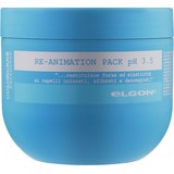 Відновлювальна маска для пошкодженого волосся Elgon Colorcare Re-Animation Pack pH 3.5, фото 