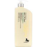Шампунь для ежедневного применения Bio Plant Active Charcoal Care Shampoo