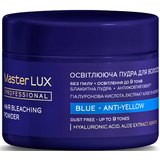 Осветительная пудра Master Lux Professional Blue Hair Bleaching Powder