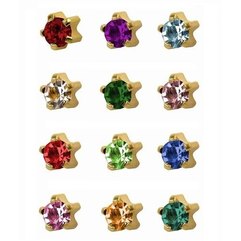 Steel Evolution Claw Set Gold Універсальні сереги для проколу вух в Крапане (позолота), 12 пар, фото 