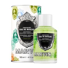Ополаскиватель для полости рта Интенсивная Мята Marvis Strong Mint Mouthwash Concentrate, 120 ml