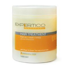 Tico Professional Expertico Hair Treatment For All Hair Types Маска інтенсивний догляд для всіх типів волосся з зеленим чаєм і екстрактом імбиру, 1000 мол, фото 