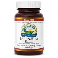 Эхинацея NSP Echinacea, 50 шт