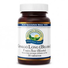 NSP Ginkgo Long (Biloba) Гінкго Лонг (білоба), 30 таблеток по 700 мг, фото 