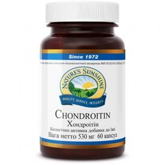 Хондроїтин NSP Chondroitin, 60 шт, фото 