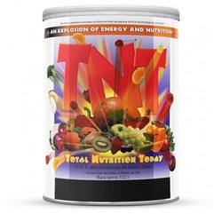 NSP ТNТ (Total Nutrition Today) Tнт (Все необхідне на кожен день), 532 г, фото 