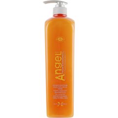 ANGEL Professional Paris Shampoo for dry and Normal Hair Шампунь для сухого і нормального волосся, фото 