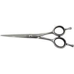 Ножиці перукарські професійні SPL 90001-55, фото 