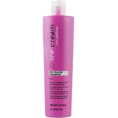 Шампунь для осветленных и седых волос Inebrya Shampoo No Yellow