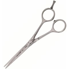 Tondeo Century Slice Classic 5.5 Ножиці перукарські, фото 