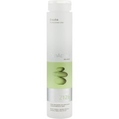Шампунь для жирных волос Erayba Z12b Cleansing Shampoo