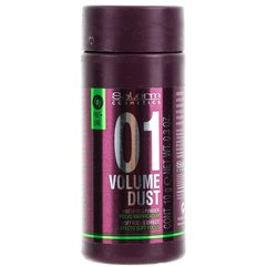 Пудра для волос Salerm Pro Line Volume Dust, 10 g