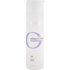 Мыло для нормальной кожи Gigi Aroma Essence Soap For Normal Skin, 250 ml