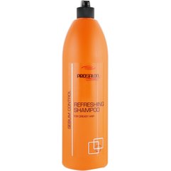ProSalon Hair Care Cleansing Shampoo - Шампунь освіжаючий для жирного волосся, 1000 мол, фото 