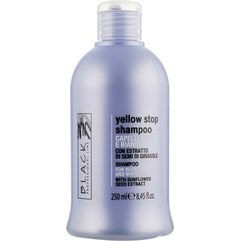 Шампунь против желтизны для седых и осветленных волос Black Professional Line Yellow Stop Shampoo