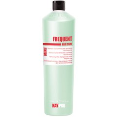 Освежающий шампунь-гель для душа с мятой Kay Pro Hair Care Frequent Refreshing Mint Shampoo Body Wash, 1000 ml