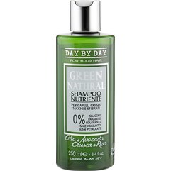 Шампунь живильний Alan Jey Green Natural Shampoo, 250 ml, фото 