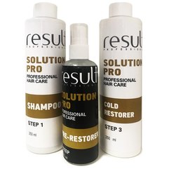Набор холодное восстановление волос Result Professional Solution Pro