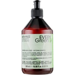 Шампунь зволожуючий Dikson Every Green Anti Frizz Shampoo, фото 