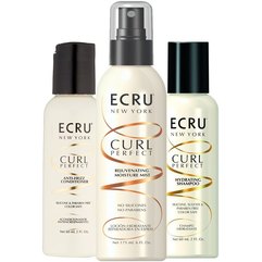 Набор Защита кудрей ECRU NY Frizz Frightres Kit