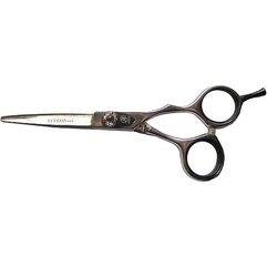 Ножницы парикмахерские прямые для стрижки Ayashi AS55-20 5.5``