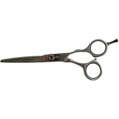 Ножницы парикмахерские прямые для стрижки Ayashi AS60-20 6.0``