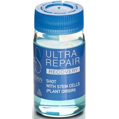 Ампули для волосся Ультра відновлення Lendan Recovery Repair, 6*10 мл, фото 