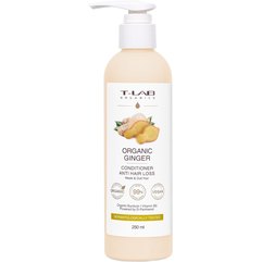 Кондиціонер для ослабленого та тьмяного волосся T-LAB Professional Organic Ginger Anti-Hair Loss Conditioner, 250 мл, фото 