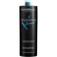 Шампунь после окрашивания Karibelly Post Treatment Shampoo, 1000 ml