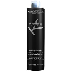 Очищуючий Шампунь Karibelly Purifying Shampoo For Greasy Hair, 500 ml, фото 