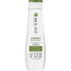 Шампунь для зміцнення пошкодженого волосся Biolage Strenght Recovery Shampoo, фото 