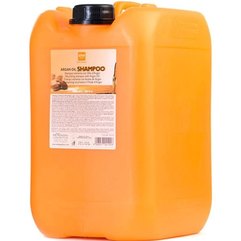 Шампунь с ментолом для глубокой очистки Alter Ego Classic Deep Cleansing Shampoo, 10 l