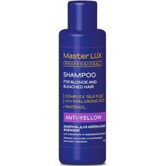 Шампунь для нейтралізації жовтизни Master Lux Professional Anti-Yellow Shampoo, фото 