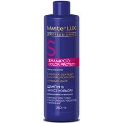 Шампунь для окрашенных волос Защита цвета Master Lux Professional Color Protect Shampoo