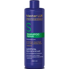 Шампунь для пошкодженого волосся Відновлювальний Master Lux Professional Repair Shampoo, фото 