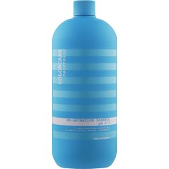 Відновлювальний шампунь для пошкодженого волосся Elgon Colorcare Re-Animation Shampoo, фото 