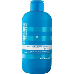 Восстанавливающий шампунь для поврежденных волос Elgon Colorcare Re-Animation Shampoo