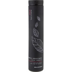 Шампунь чоловічий для волосся проти лупи Elgon Man Purificante Сhill Shampoo, 250 ml, фото 