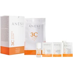 Профессиональный набор с витамином Anesi 3c Vitamin Glow Professional Kit