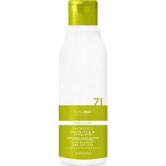 Шампунь против перхоти и для жирной кожи головы Team 155 Puryfing 71 Anti-Dandruff & Anti-Oily Shampoo