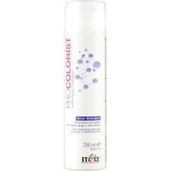 Шампунь для нейтрализации желтизны Itely Hairfashion Pro Colorist Silver Shampoo