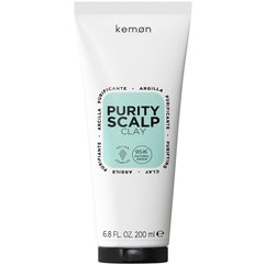 Пілінг на основі мінеральної глини для жирної шкіри голови Kemon Haircare Purity Sclap Clay, 200 ml, фото 
