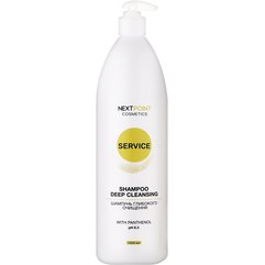 Шампунь глибокого очищення NextPoint Cosmetics Service Deep Cleansing Shampoo, 1000 ml, фото 