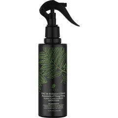 Эссенция для разглаживания волос с иланг-илангом Vieso Ylang Ylang Essence Smoother Lactic Acid, 250 ml