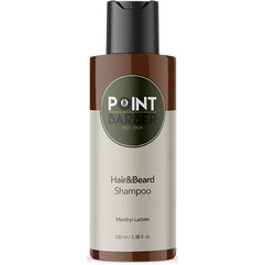 Освежающий шампунь для волос и бороды Farmagan Point Barber Hair & Beard Shampoo