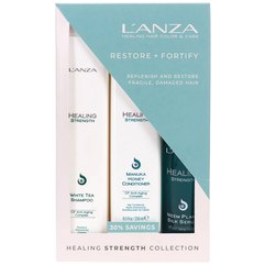 Набір зміцнювальних засобів для волосся L'anza Healing Strength Holiday Trio Box, фото 