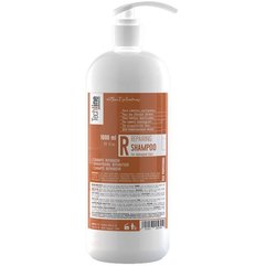 Шампунь для полного восстановления волос Anea Techline Repairing Shampoo, 1000 ml